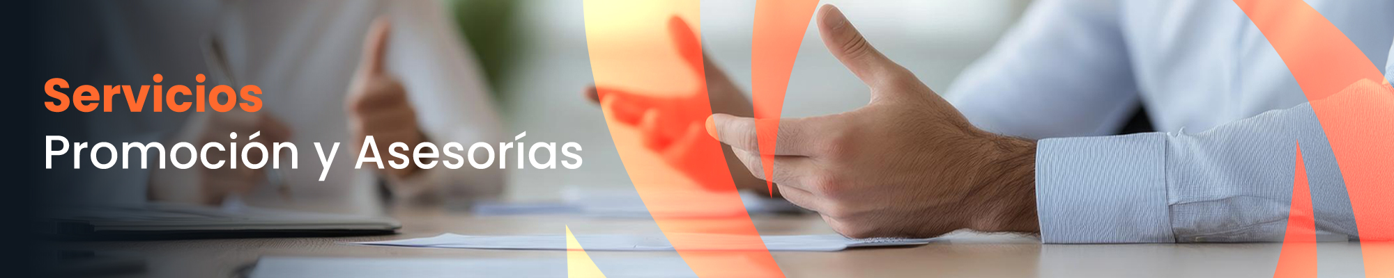 Servicios de Promoción y Asesoría