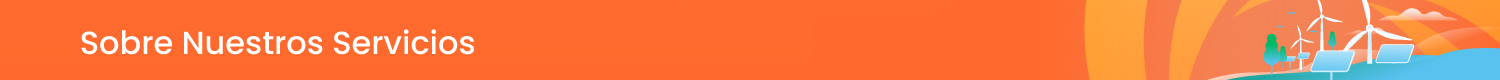 Sobre Nuestros Servicios: