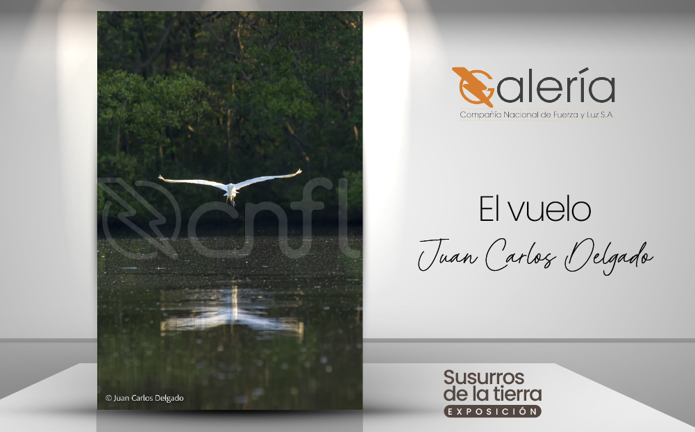 Imagen de la obra de Juan Carlos Delgado