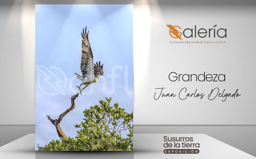 Imagen de la obra de Juan Carlos Delgado