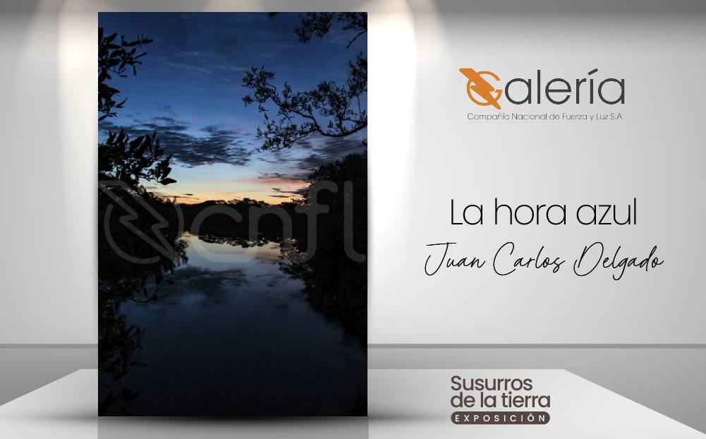 Imagen de la obra de Juan Carlos Delgado