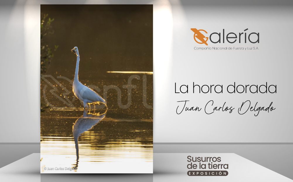 Imagen de la obra de Juan Carlos Delgado