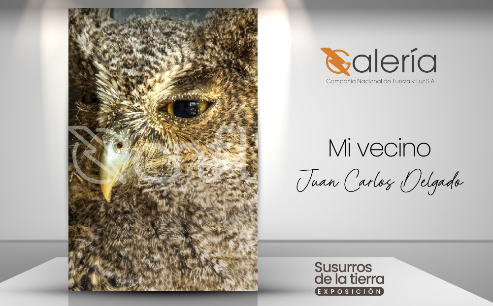 Imagen de la obra de Juan Carlos Delgado