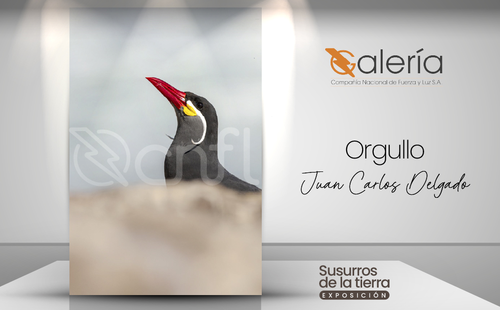 Imagen de la obra de Juan Carlos Delgado