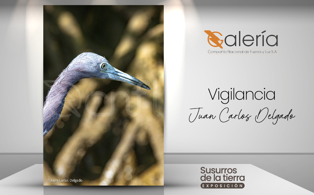 Imagen de la obra de Juan Carlos Delgado
