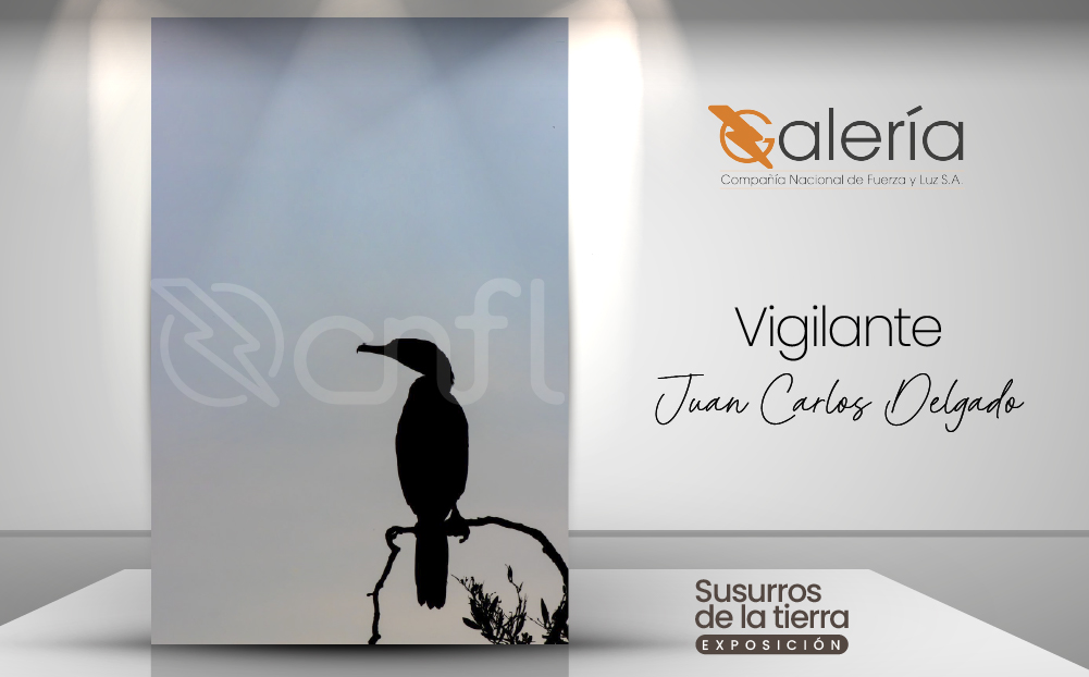 Imagen de la obra de Juan Carlos Delgado