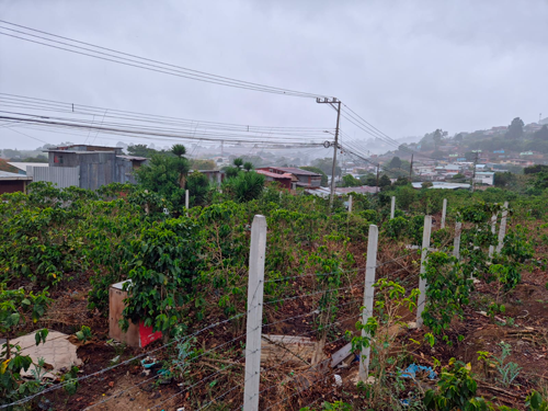 Propiedad en venta, Dulce Nombre, Cartago