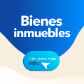 Bienes Inmuebles