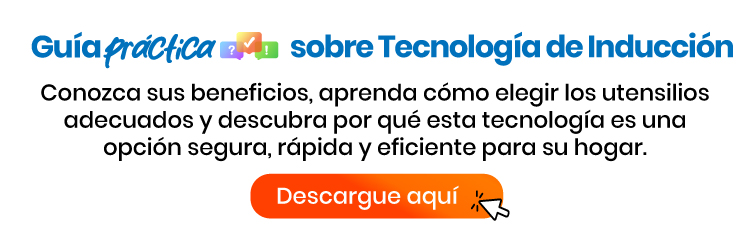 Guía Practica sobre Tecnología de Inducción