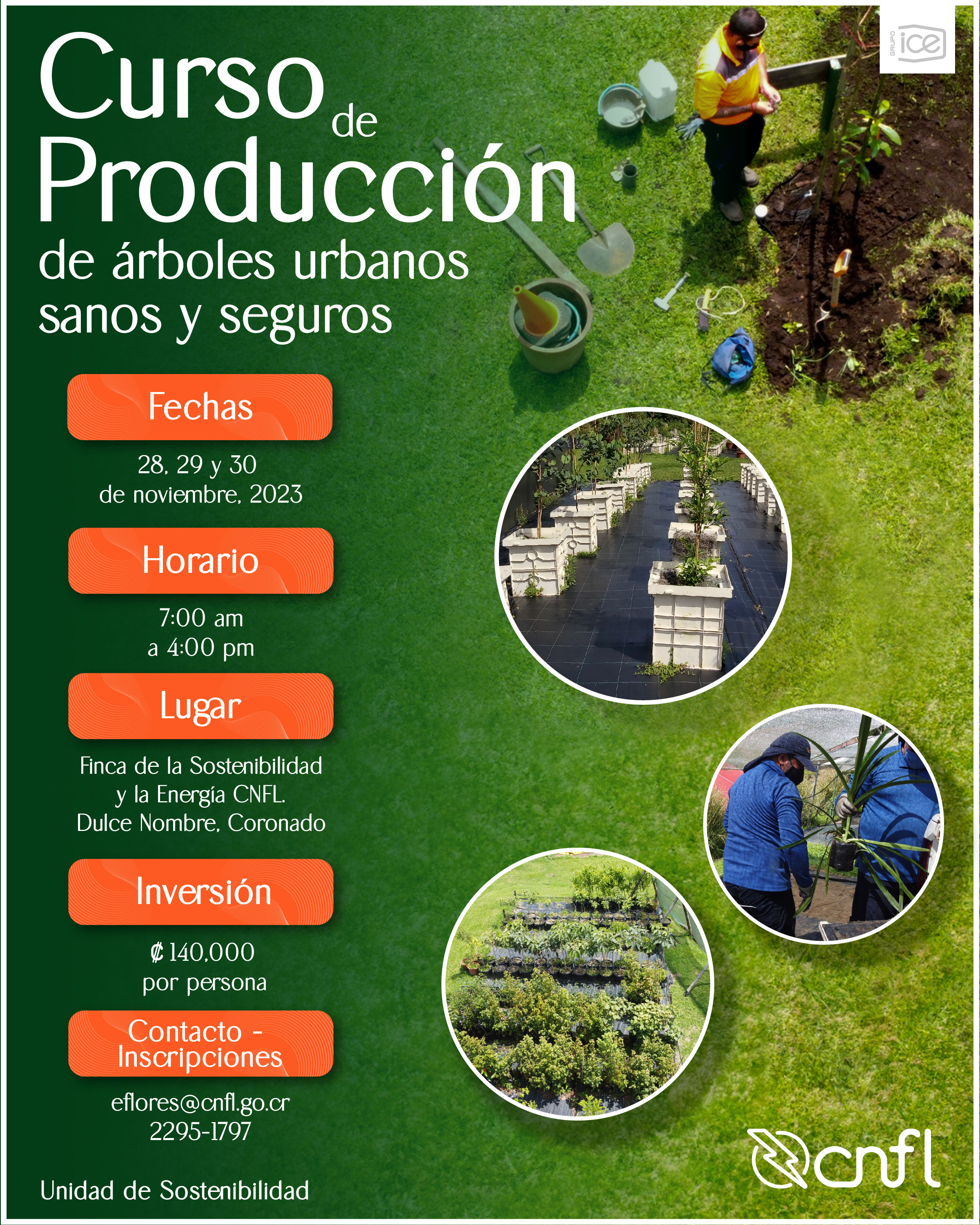 Curso Producción de árboles urbanos sanos y seguros