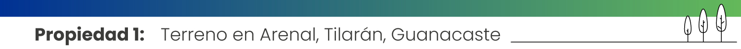 Propiedad 1: Terreno en Arenal, Tilarán, Guanacaste