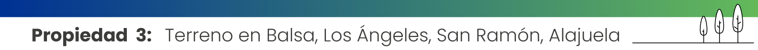 Propiedad 3: Terreno en Balsa, Los Ángeles, San Ramón, Alajuela