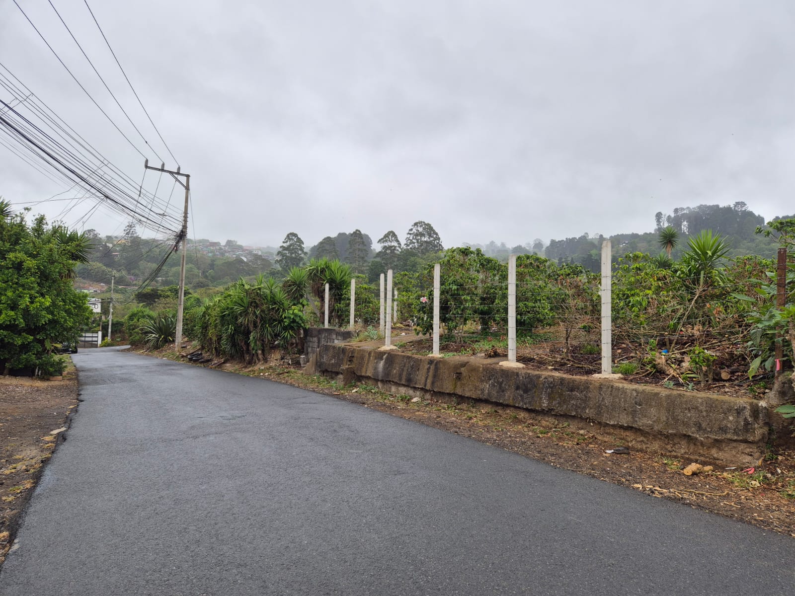 Venta Propiedad Dulce Nombre, San Rafael de La Unión, Cartago