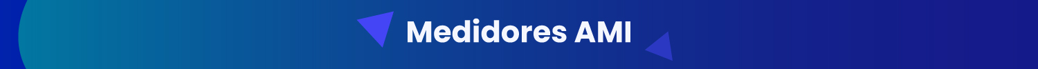 Medidores AMI