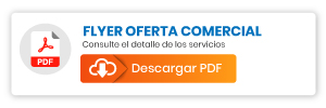 Descargar Flyer Servicios de Ingeniería
