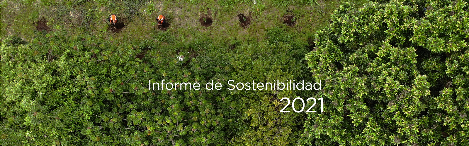 Informe de Sostenibilidad 2021 Informe de Sostenibilidad 2021