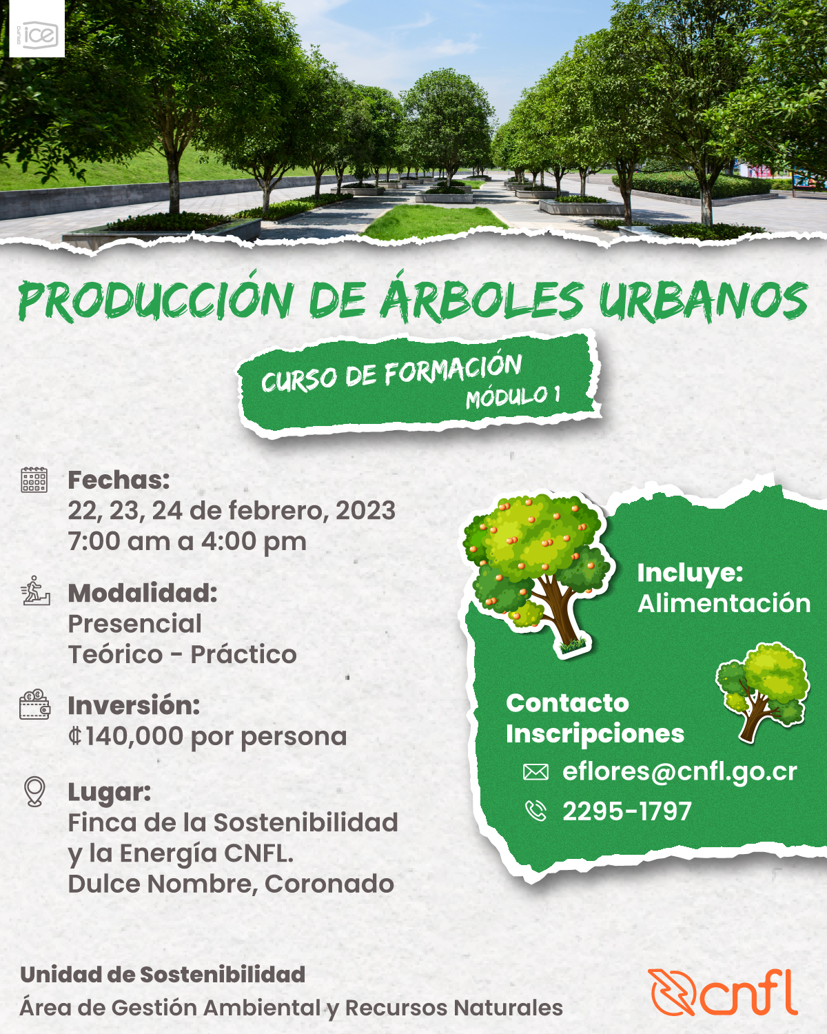 Producción de Árboles Urbanos Producción de Árboles Urbanos