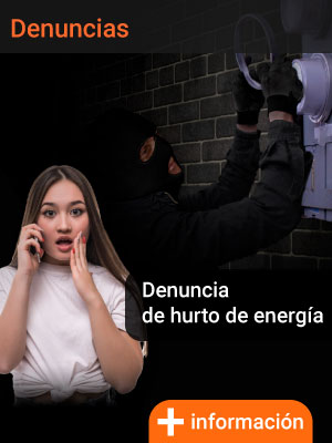 Denuncias por Hurto de Energía