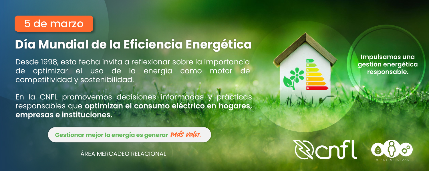 Día Mundial de la Eficiencia Energética
