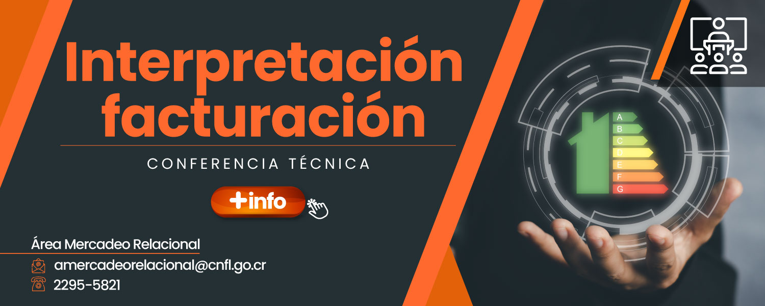 Interpretación Facturación Conferencia Técnica